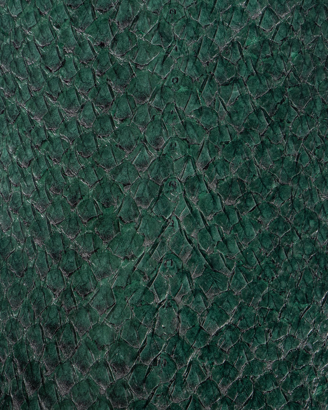 Salmon closed Collection | Fish leather with closed scales and silk gloss