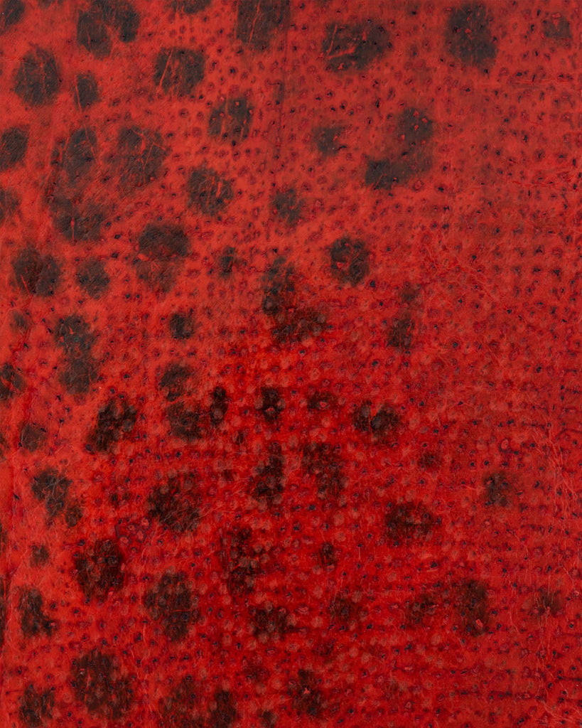 Spotted Wolffish Collection | Smooth Fish Leather With A Silk Gloss And Natural Pattern Leer