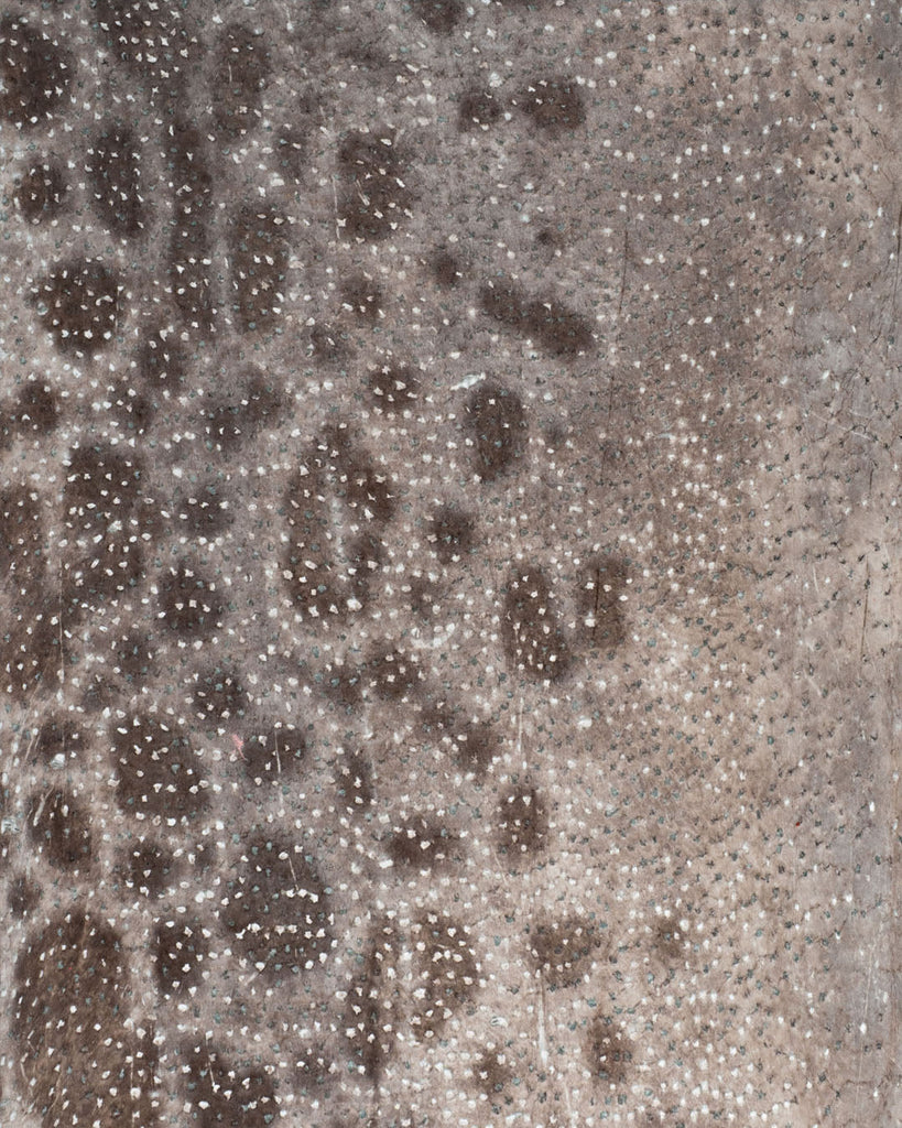 Spotted Wolffish Collection | Smooth Fish Leather With A Silk Gloss And Natural Pattern Natural Fish