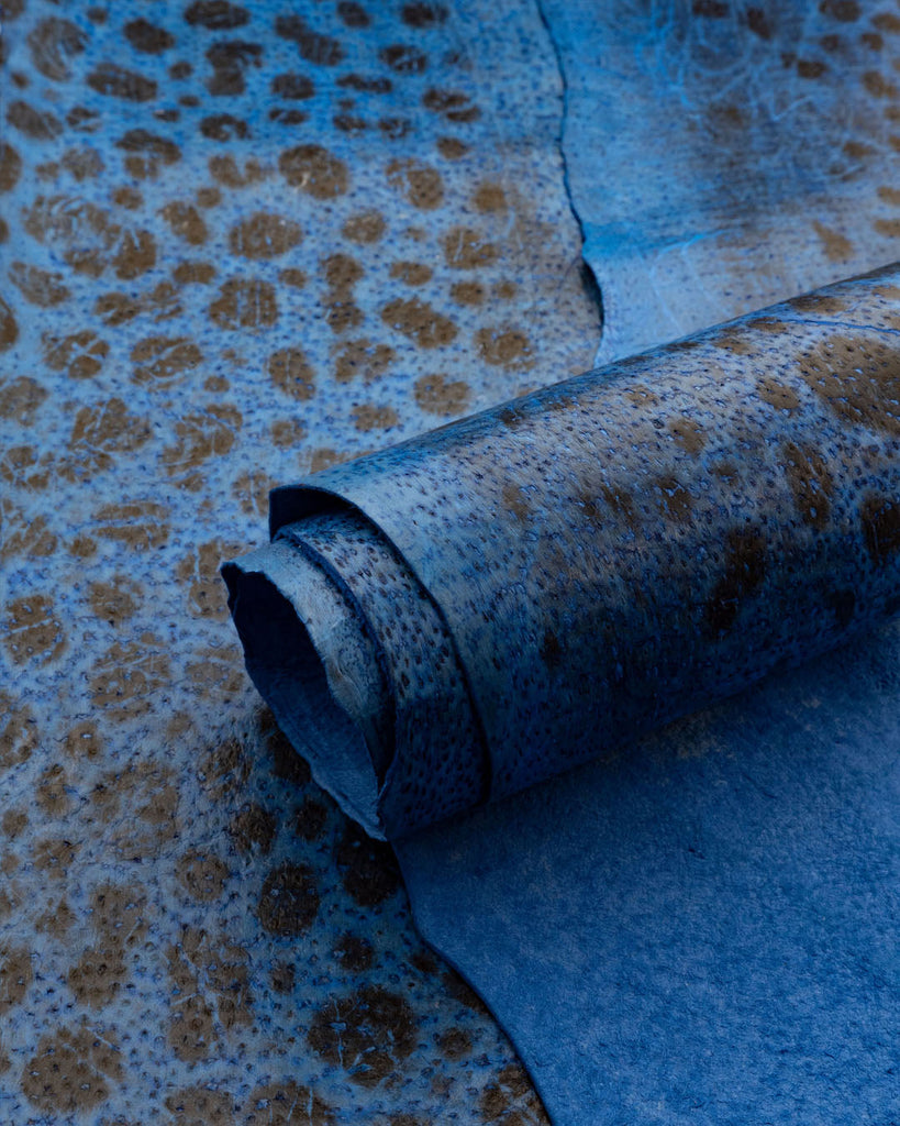 Spotted Wolffish Collection | Smooth Fish Leather With A Silk Gloss And Natural Pattern Thor / Small