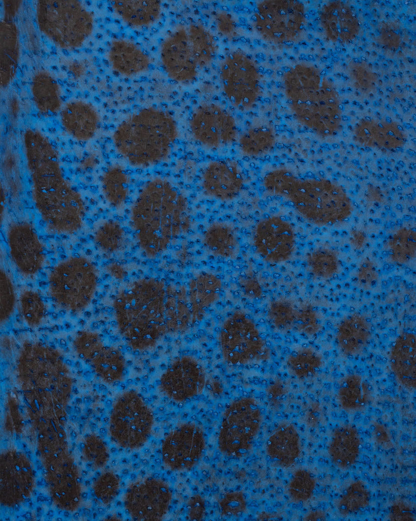 Spotted Wolffish Collection | Smooth Fish Leather With A Silk Gloss And Natural Pattern Leer