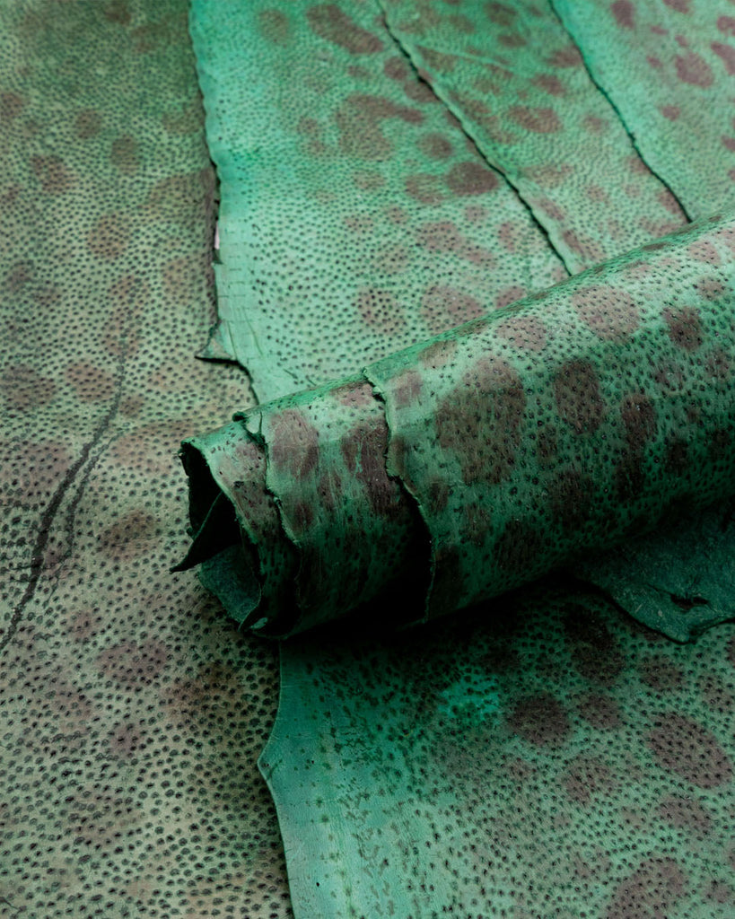 Spotted Wolffish Collection | Smooth Fish Leather With A Silk Gloss And Natural Pattern Týr / Small