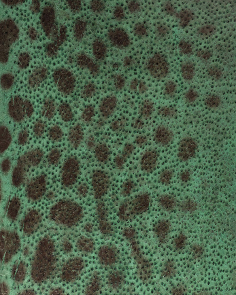 Spotted Wolffish Collection | Smooth Fish Leather With A Silk Gloss And Natural Pattern Leer