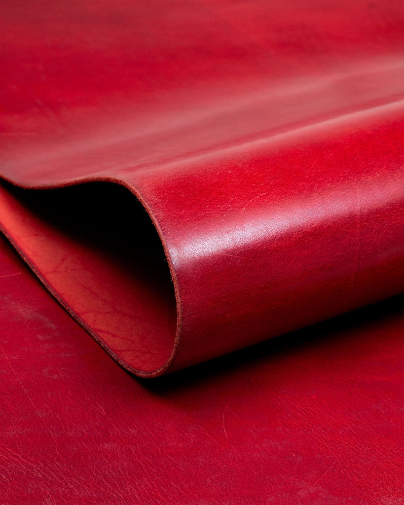 Monza Collection | Shiny Vegetable Tanned Harness Leather Leer