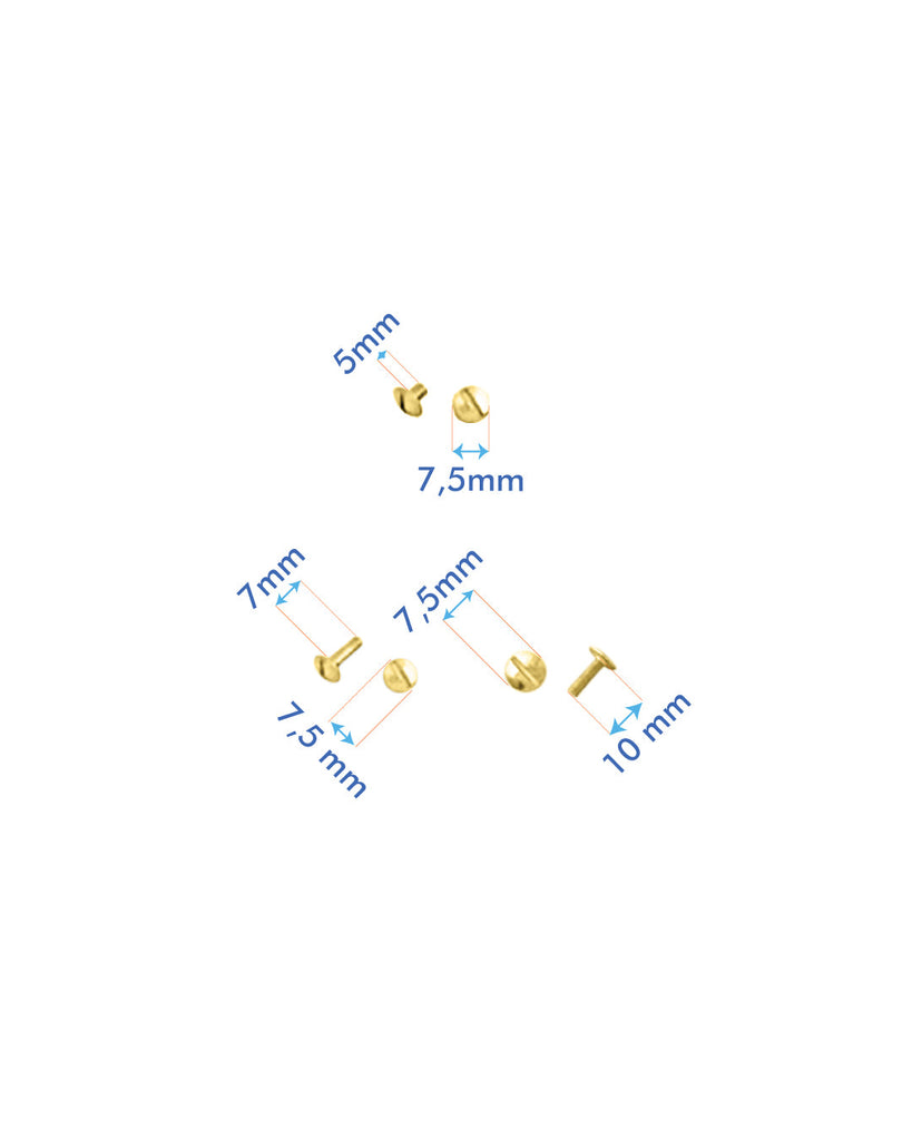 Screws | Gold And Silver (10 Pieces) Fournituren