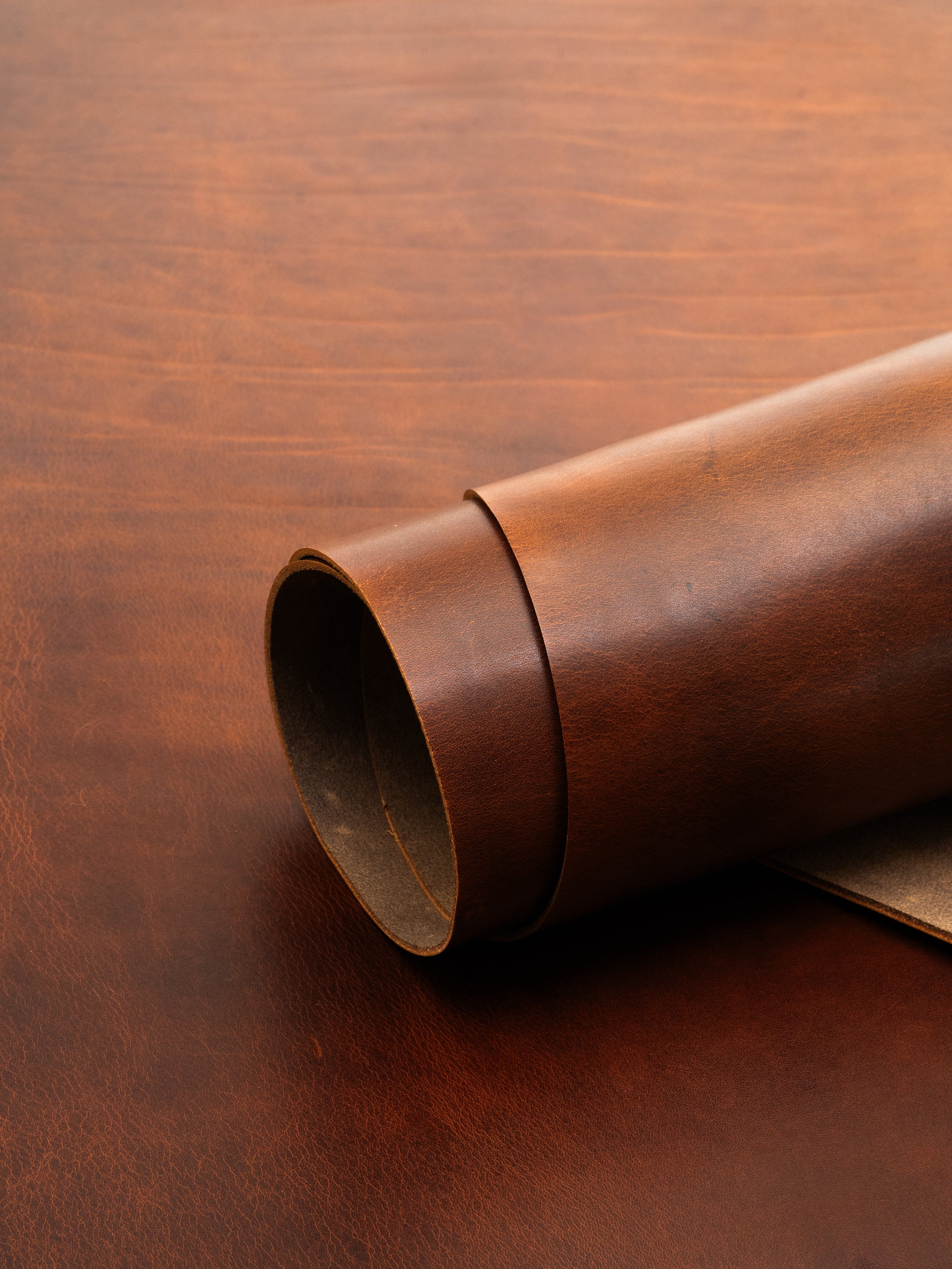 Monza Collection I Shiny vegetable tanned harness leather