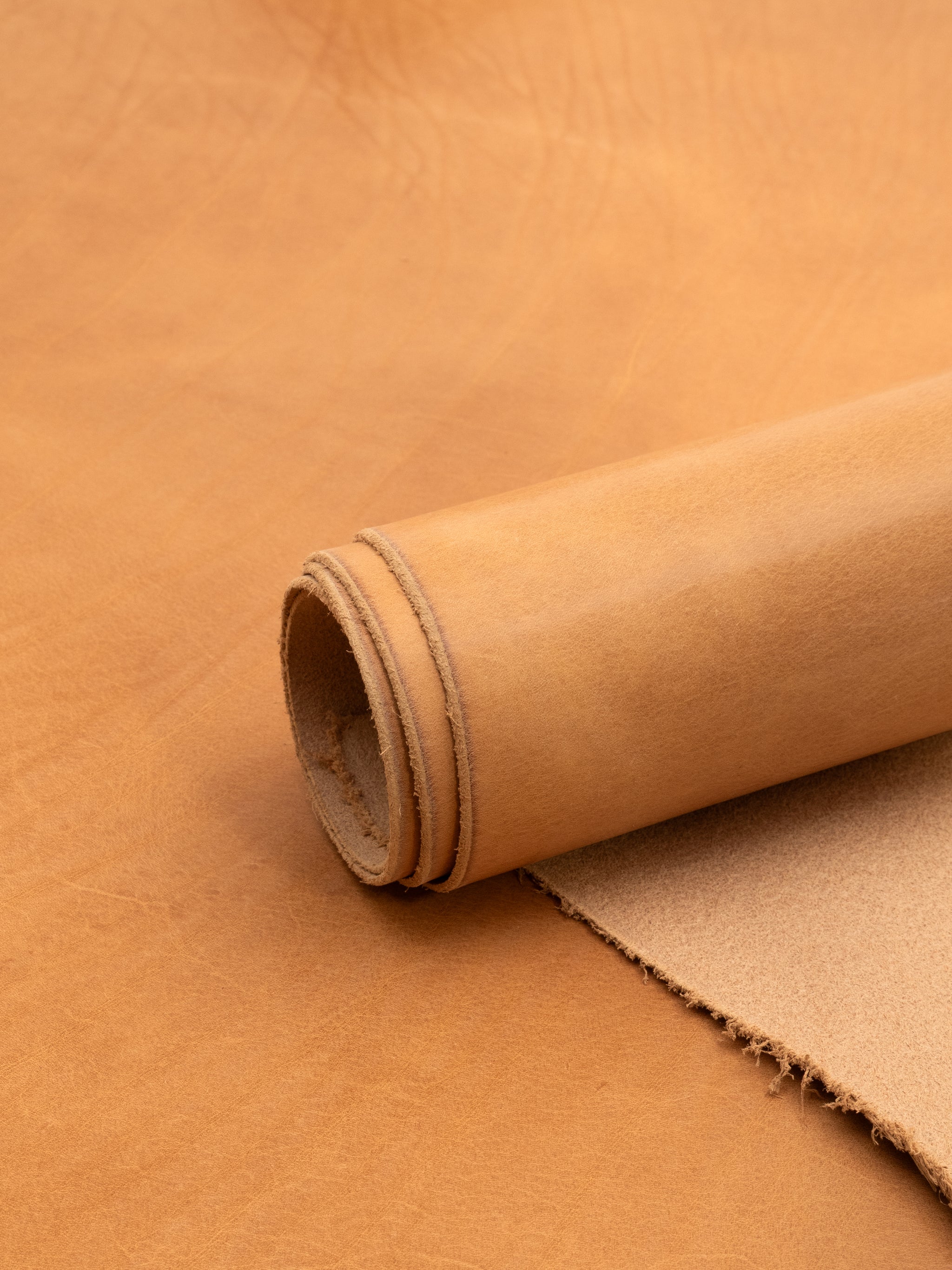 ExionPro Duo-Tone Halter - Havana - Vegetable Tanned Leather / Havana (Choco Brown) / Horse (Full Size