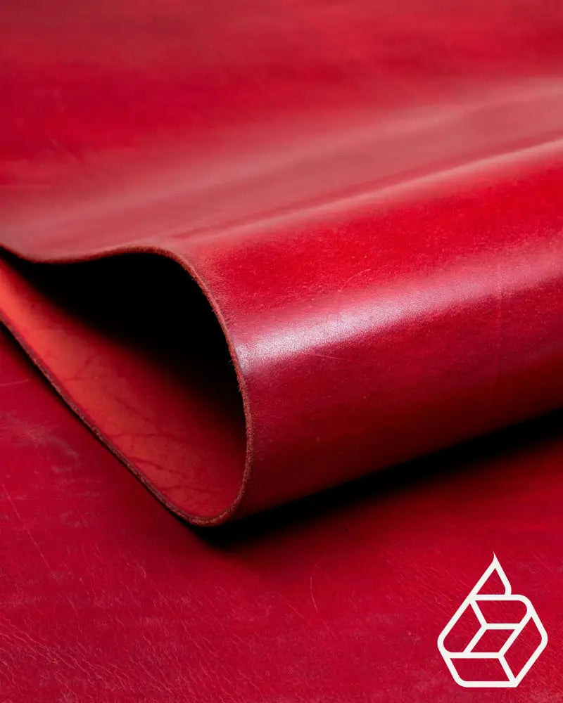 Monza Collection | Shiny Vegetable Tanned Harness Leather Leer