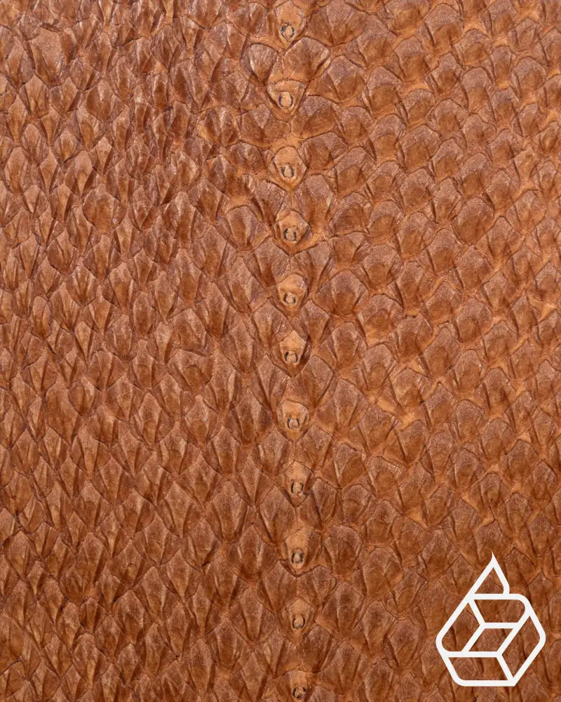 Salmon Closed Collection | Fish Leather With Scales And Silk Gloss Haust Leer