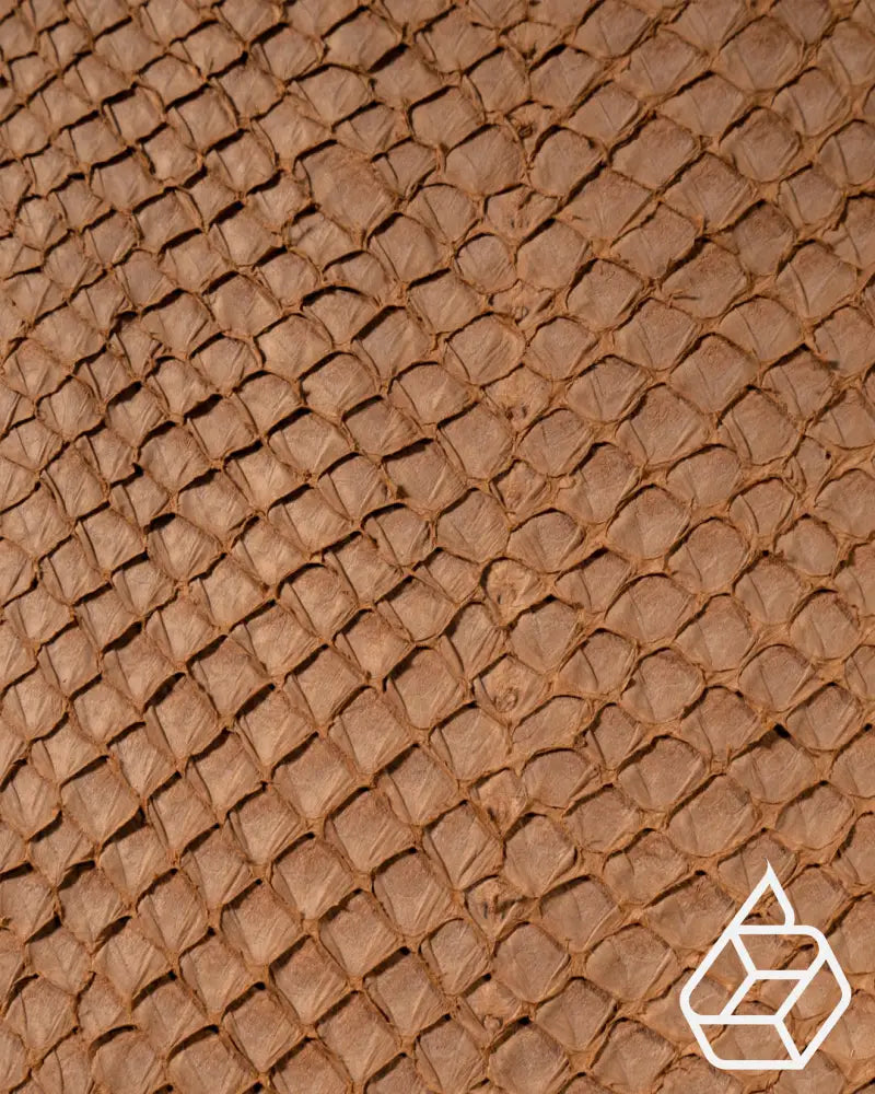 Salmon Open Collection | Fish Leather With Scales Haust Leer