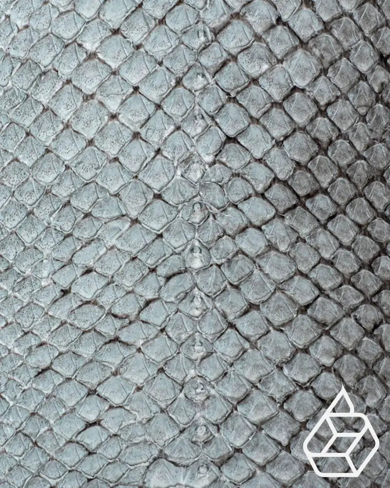 Salmon Open Collection | Fish Leather With Scales Natural Leer