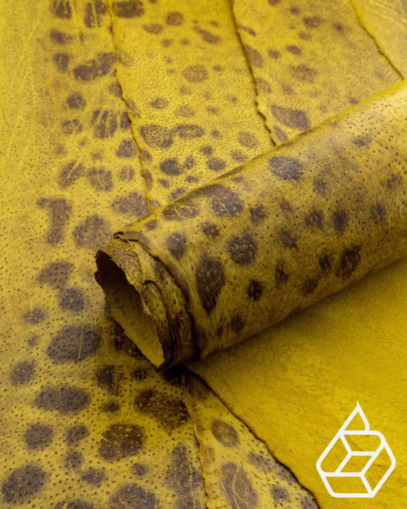 Spotted Wolffish Collection | Smooth Fish Leather With A Silk Gloss And Natural Pattern Glói / Small