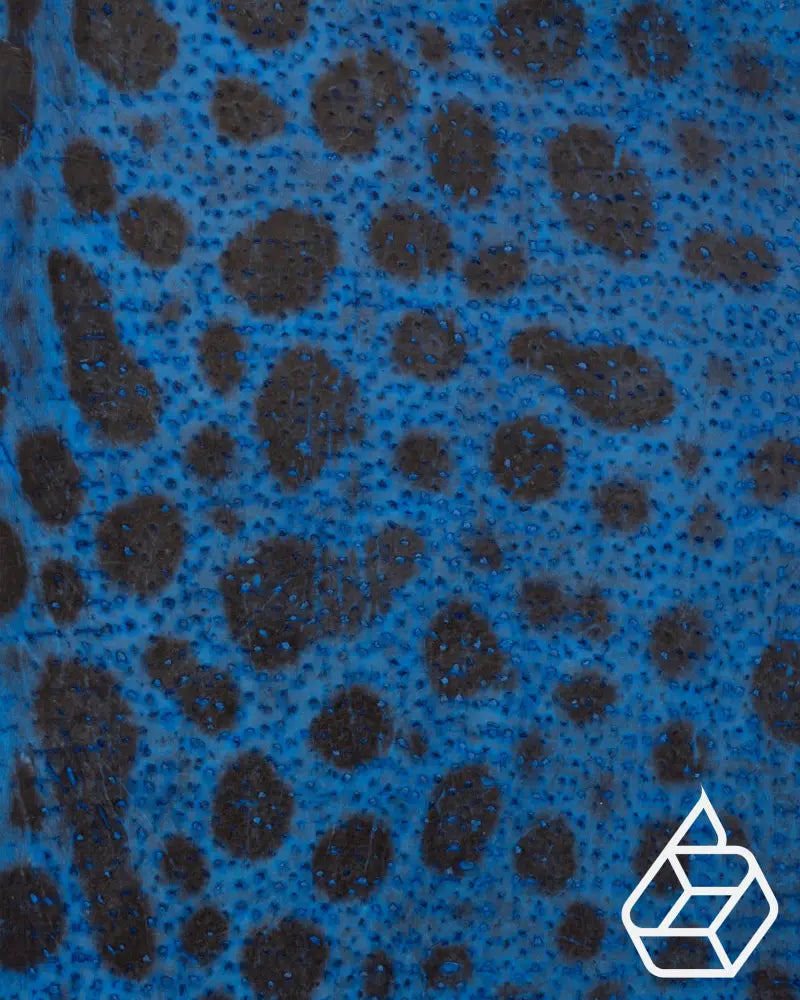 Spotted Wolffish Collection | Smooth Fish Leather With A Silk Gloss And Natural Pattern Leer