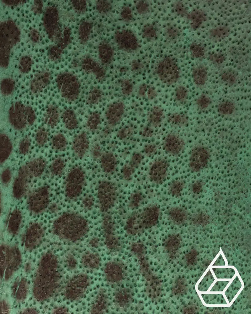 Spotted Wolffish Collection | Smooth Fish Leather With A Silk Gloss And Natural Pattern Leer