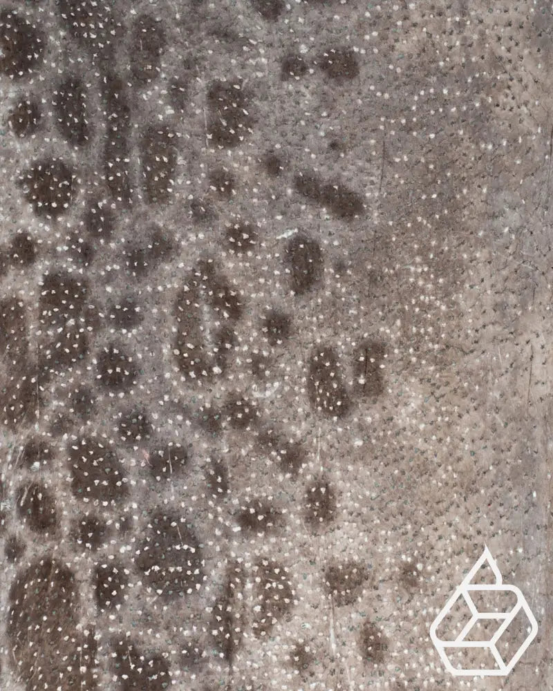 Spotted Wolffish Collection | Smooth Fish Leather With A Silk Gloss And Natural Pattern Natural Fish